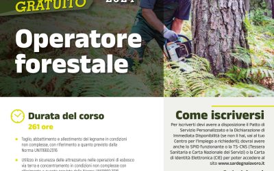 Operatore forestale